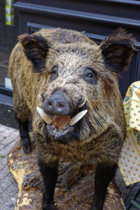 20150702 018  Beaune, Burgundy, France
